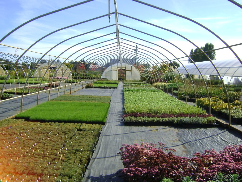 cold-frame-greenhouses-paul-boers-manufacturing